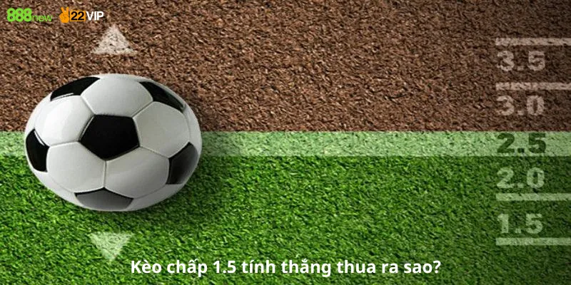 Kèo chấp 1.5 tính thắng thua ra sao?