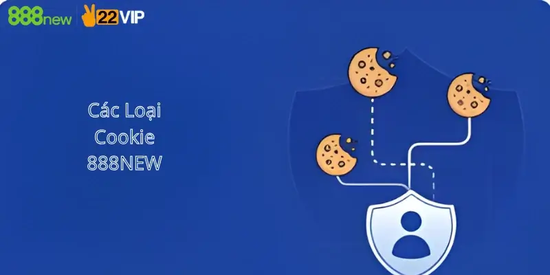 Các loại cookie 888new