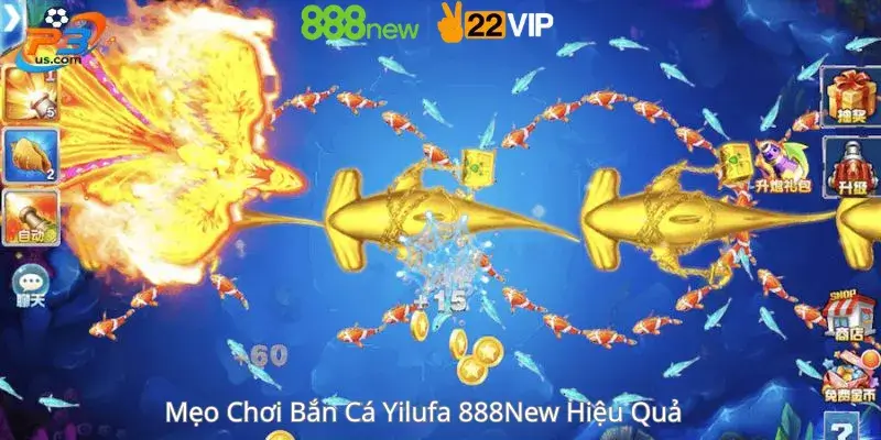 Mẹo Chơi Bắn Cá Yilufa 888New Hiệu Quả