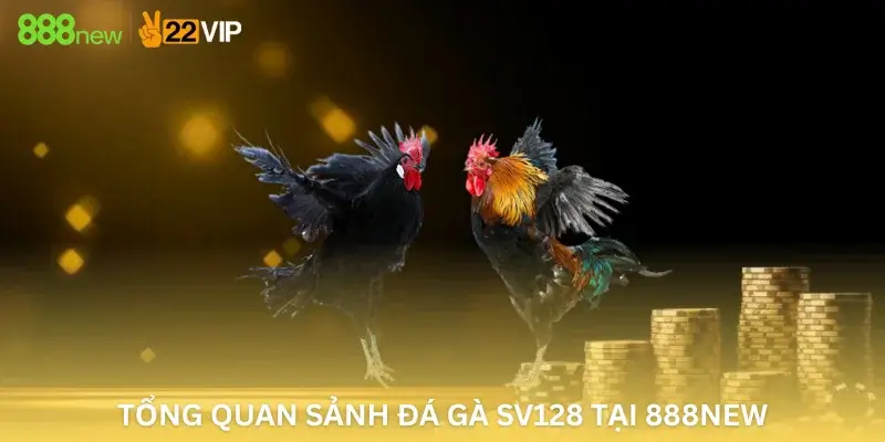 Tổng quan sảnh đá gà SV128 tại 888New